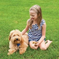 Nordic Ware Homemade Dog Treat Mix 10 Nordic Ware Homemade Dog Treat Mix -Outlet Utensils Store dtreat3