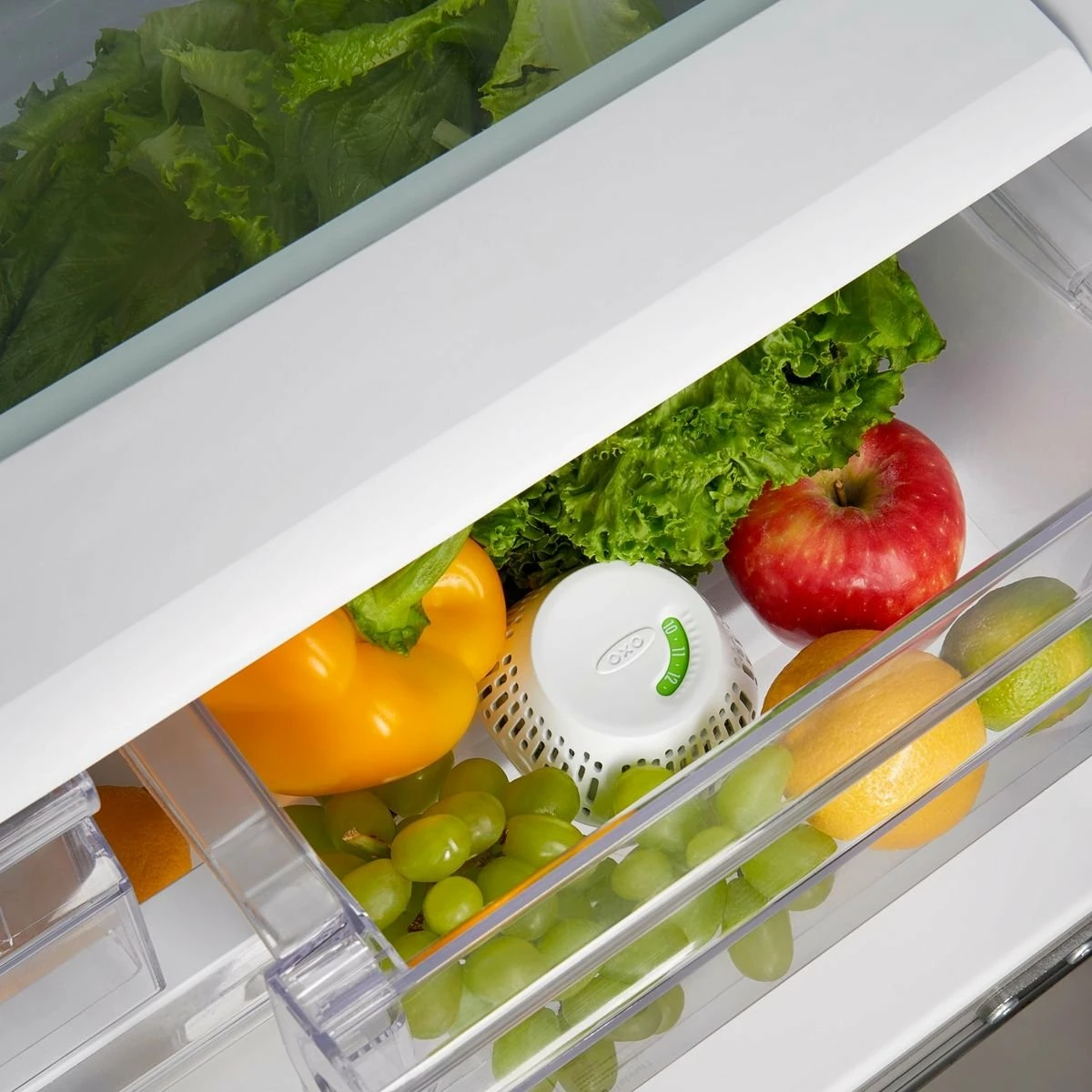 OXO GreenSaver Crisper Drawer Insert - Standing - 1PC 3 OXO GreenSaver Crisper Drawer Insert - Standing - 1PC