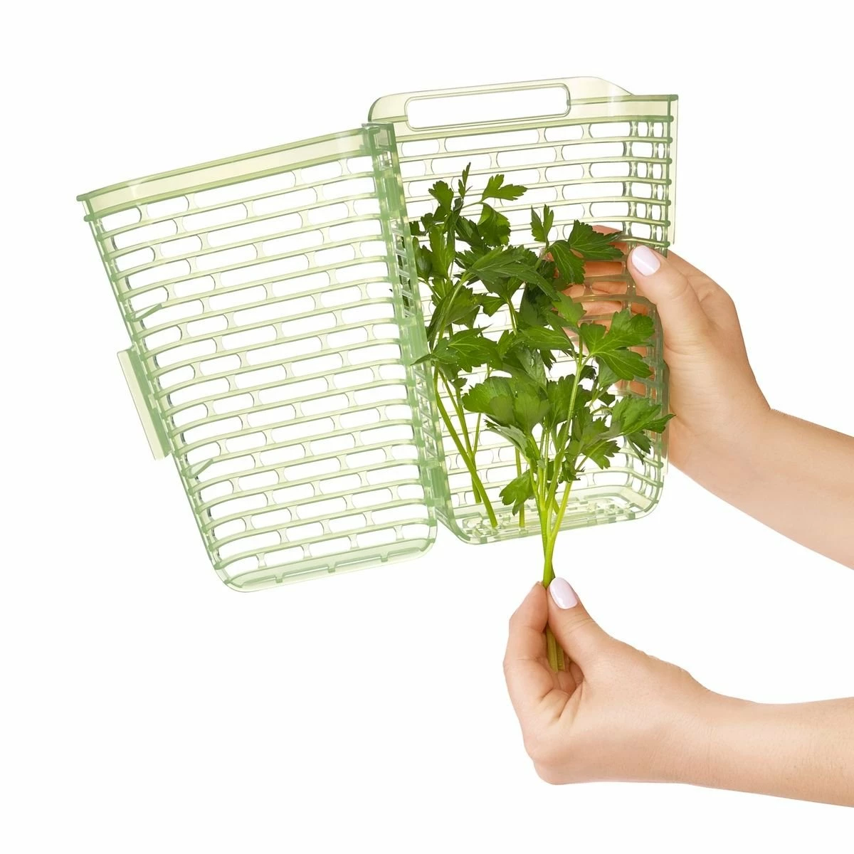 OXO GreenSaver Herb Keeper - 2.8 QT 11 OXO GreenSaver Herb Keeper - 2.8 QT - Image 9