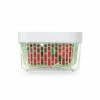 OXO Good Grips GreenSaver Produce Keeper - 1.6 Qt -Outlet Utensils Store greensaver 1.6 qt produce keeper perfect for berries 11139900