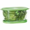 Progressive Lettuce Keeper | 4.7-Quart -Outlet Utensils Store lks 06 use 1