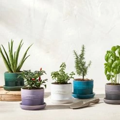 Le Creuset 5.5" Herb Planter | White -Outlet Utensils Store rs15992 herbpots scr