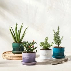 Le Creuset 5.5" Herb Planter | Provence 10 Le Creuset 5.5" Herb Planter | Provence -Outlet Utensils Store rs15992 herbpots scr 1