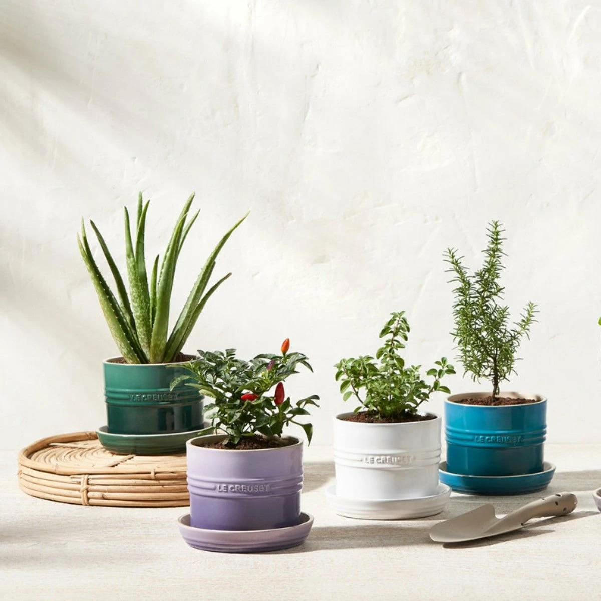 Le Creuset 5.5" Herb Planter | Provence 6 Le Creuset 5.5" Herb Planter | Provence - Image 4